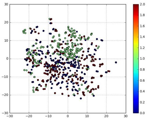 tsne-cells